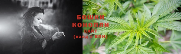 тгк Рославль