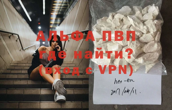 твердый Ростов