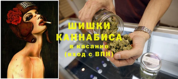 твердый Ростов