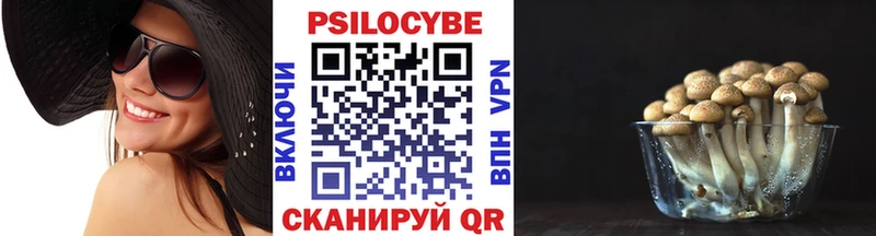 Галлюциногенные грибы мицелий  Купить закладки  Красноуральск 